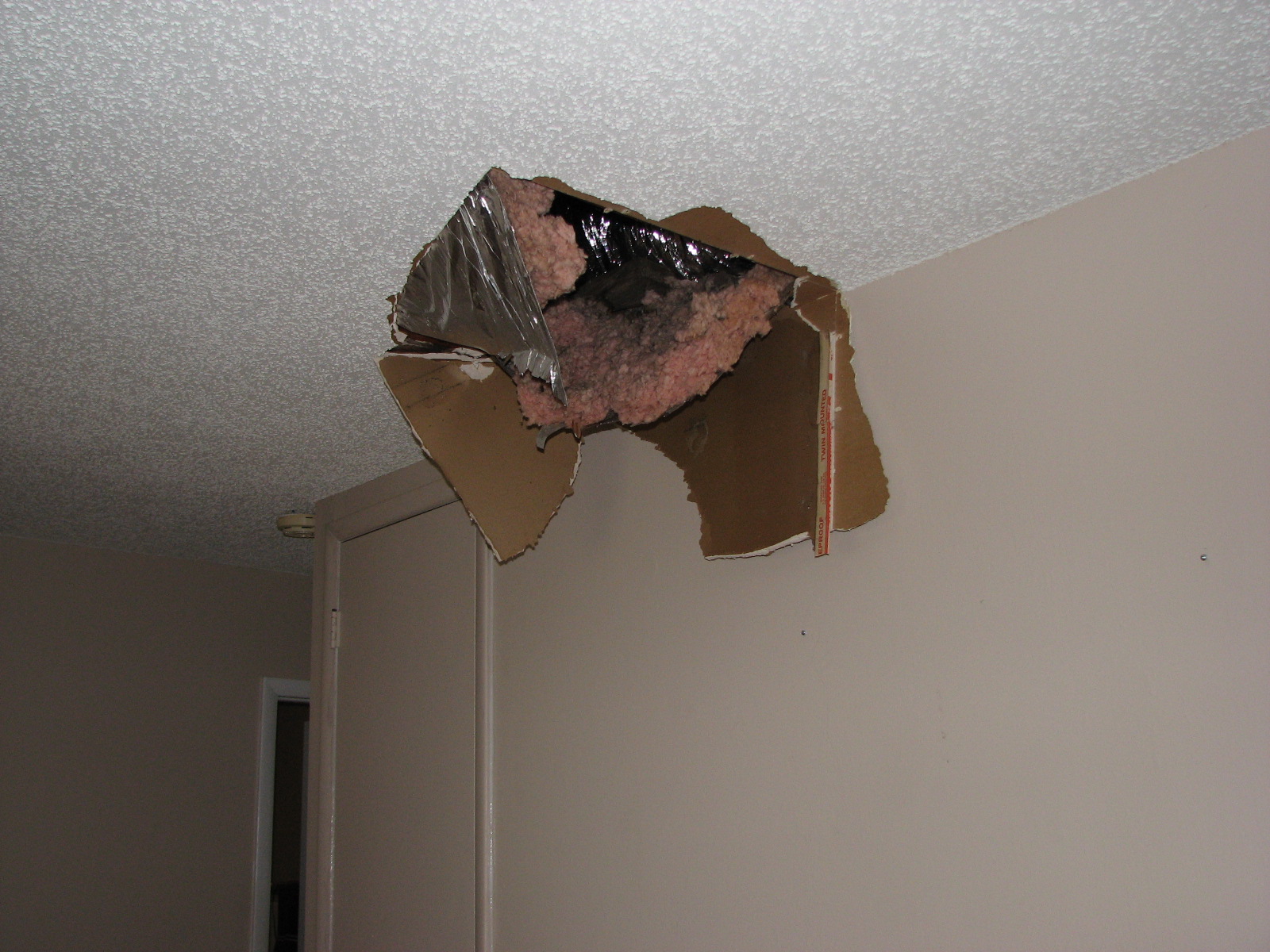 Barry The Cable Guy Stepped Thru My Popcorn Ceiling In