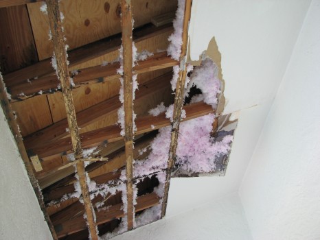 Termite damage to furring strips