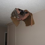 Barry the cable guy stepped thru my popcorn ceiling!