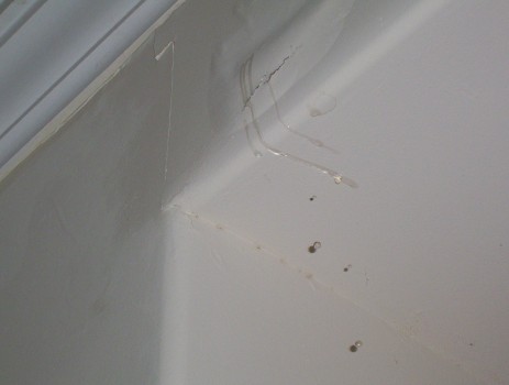 Roof Leak- Water Damaged Drywall- Melbourne,Florida