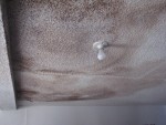 Melbourne Beach water damaged drywall popcorn ceiling