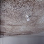 Melbourne Beach water damaged drywall and popcorn ceiling repair